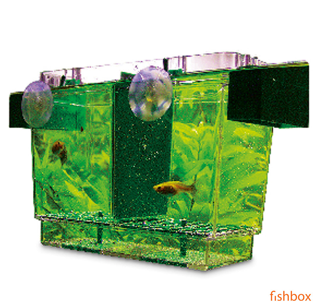 Valilnica NIDO 2 - fishbox