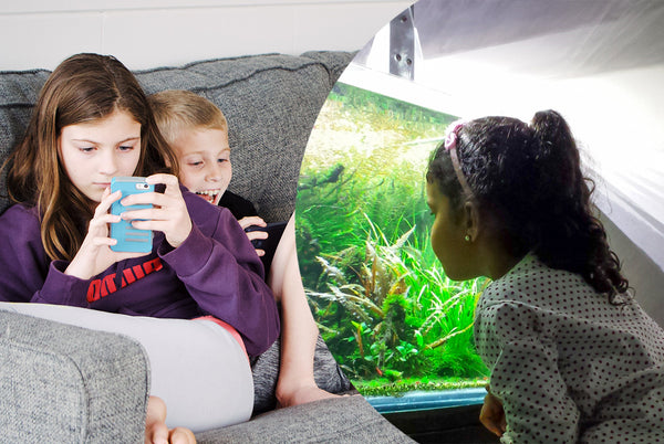 24 razlogov zakaj akvarij pozitivno vpliva na odraščanje otrok