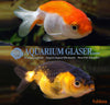 Carassius auratus Ranchu Mixed Colour - fishbox