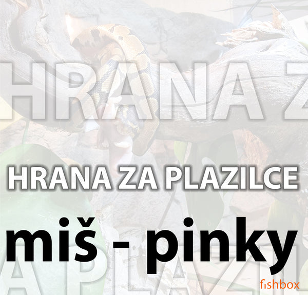 Mice, pinky - miši - hrana za plazilce - fishbox