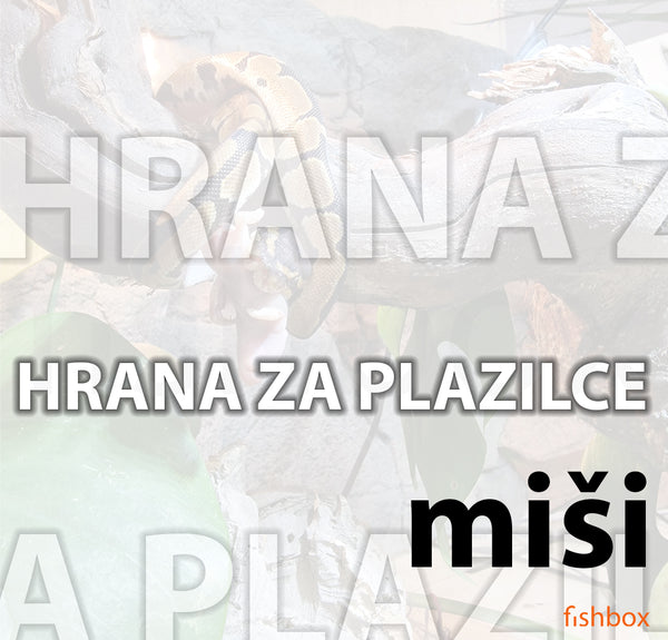 Mice S - XXL - miši, hrana za plazilce - fishbox