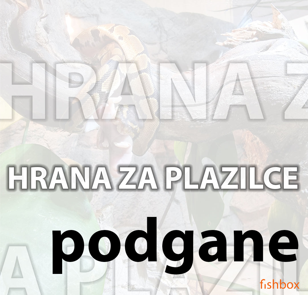 Zamrznjena hrana za plazilce - podgane - fishbox