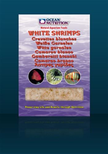 White Shrimps - fishbox