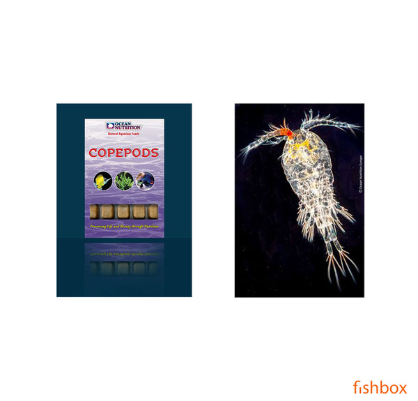 Copepods - fishbox