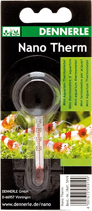 Nano termometer