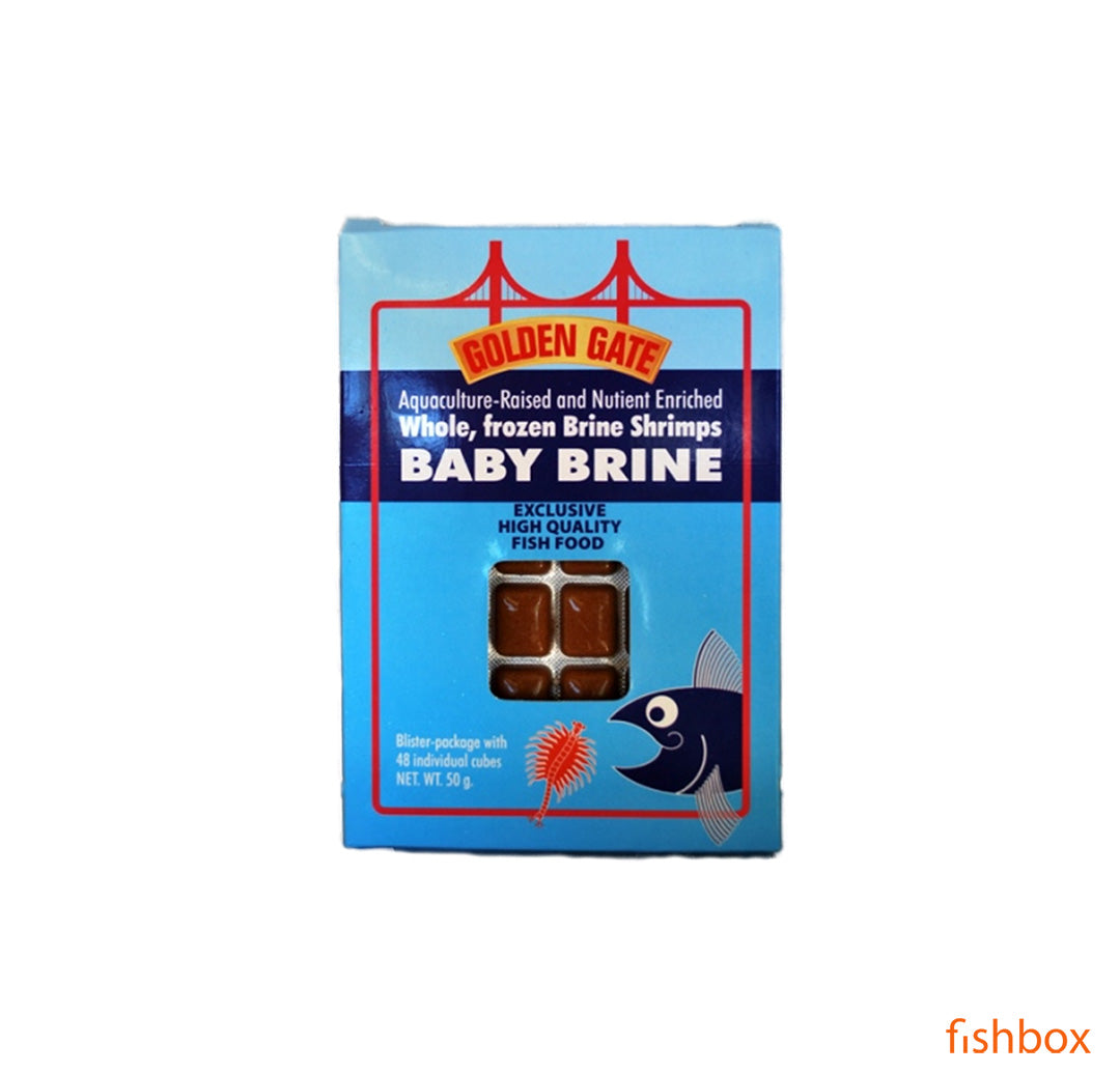 Golden Gate - navpliji solinskih rakcev - fishbox