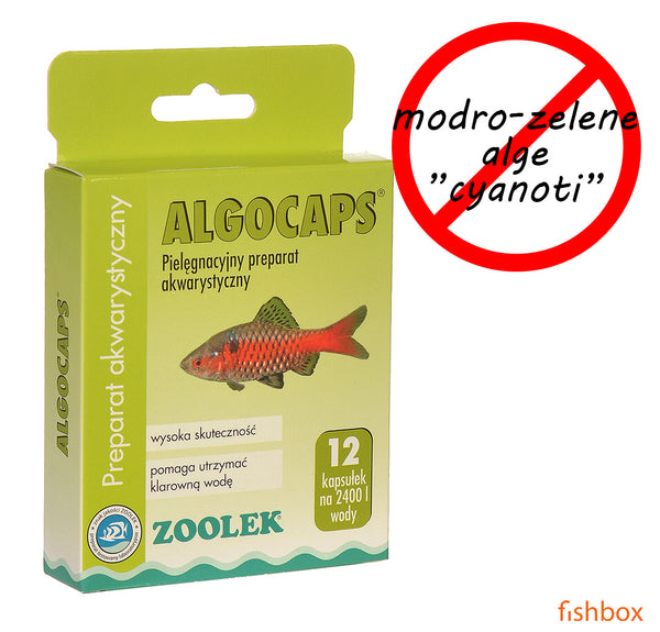 Algocaps - fishbox