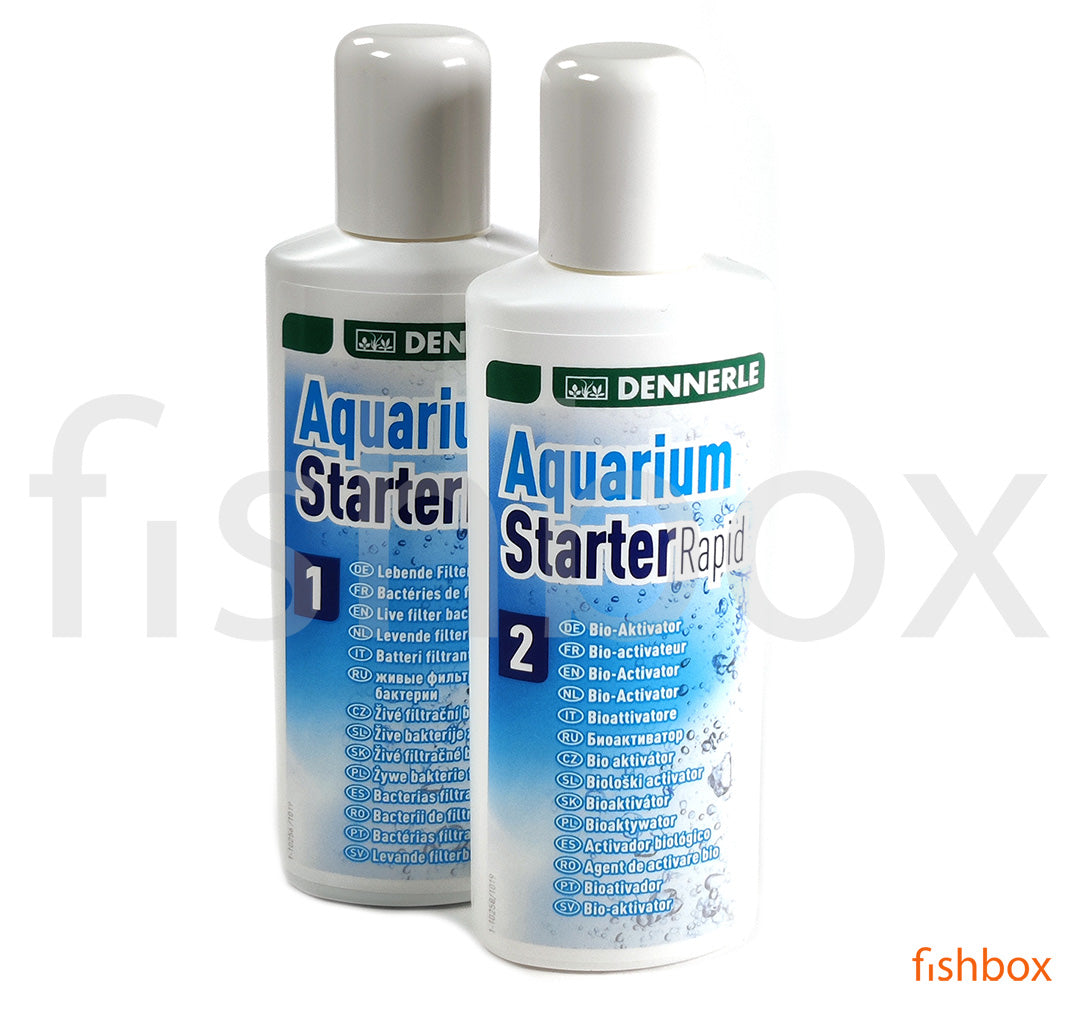 Aquarium Starter Rapid - fishbox