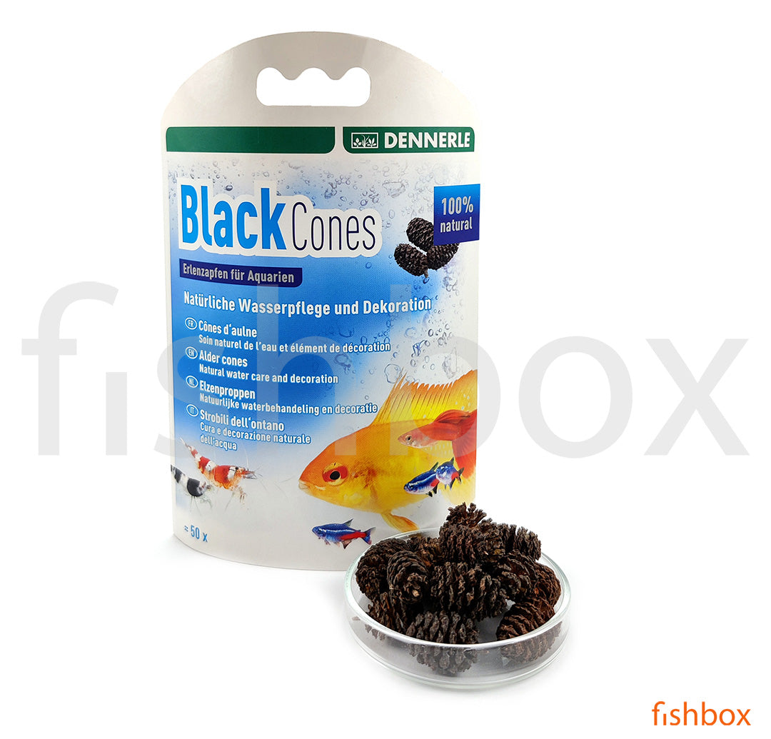 Black Cones - storžki črne jelše - fishbox