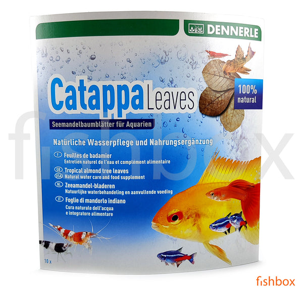 Catappa Leaves - fishbox