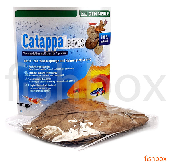 Catapa Leaves - fishbox