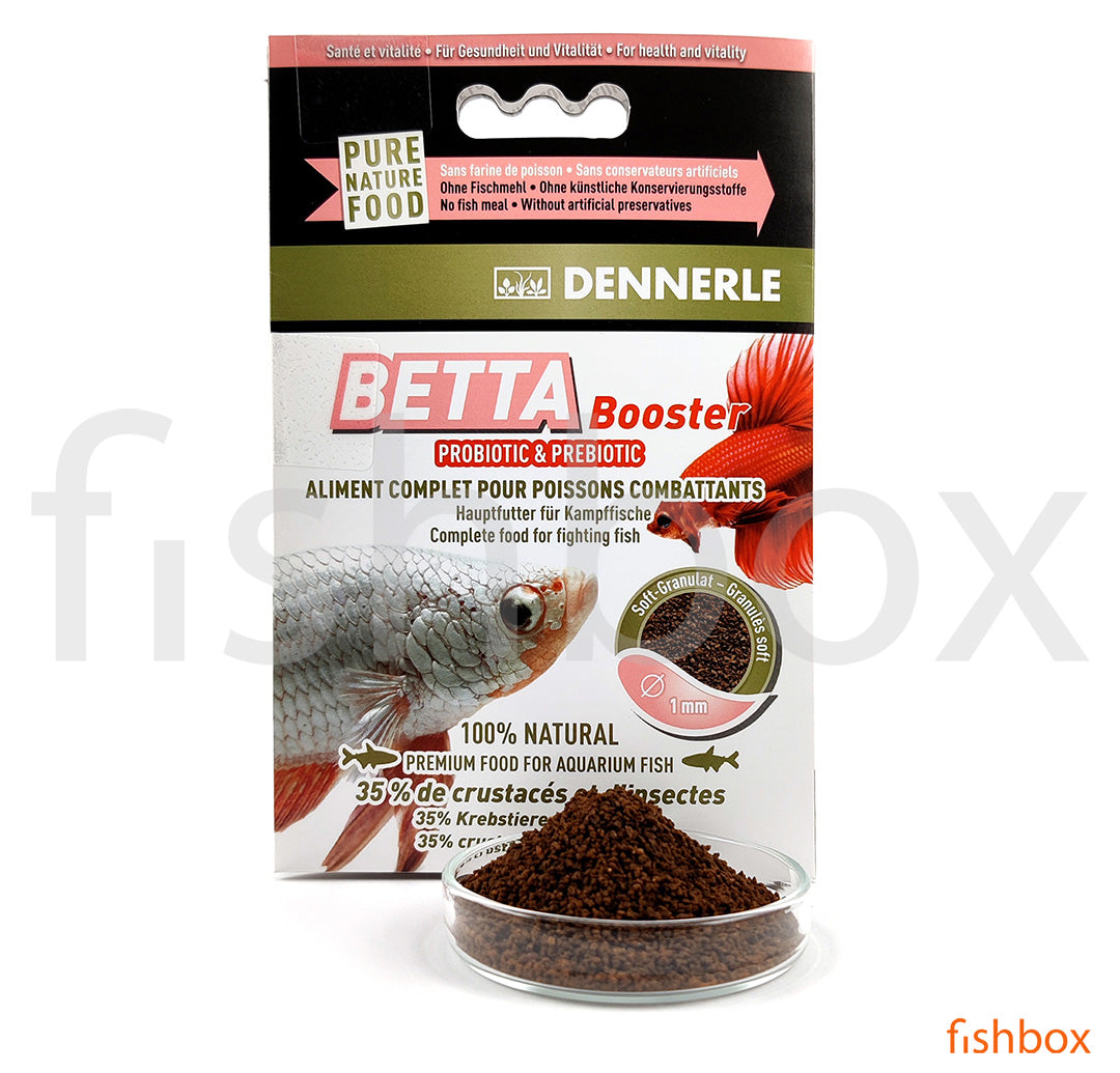 Betta Booster - fishbox