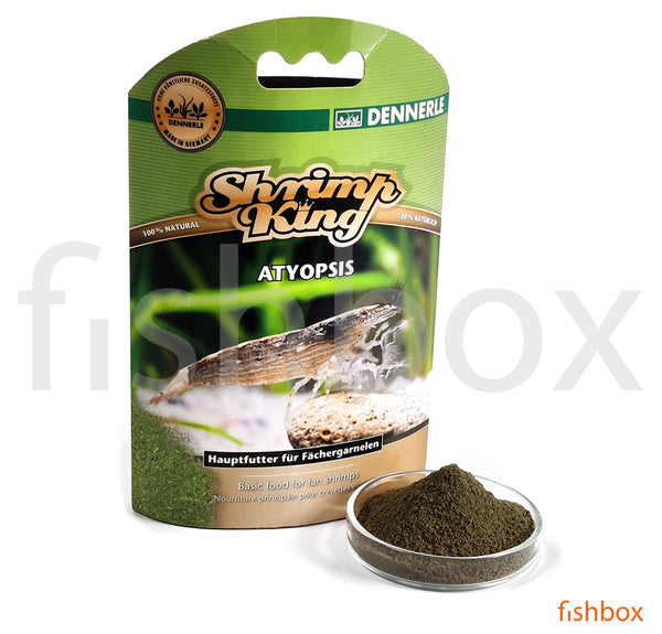 Shrimp King Atyopsis - fishbox