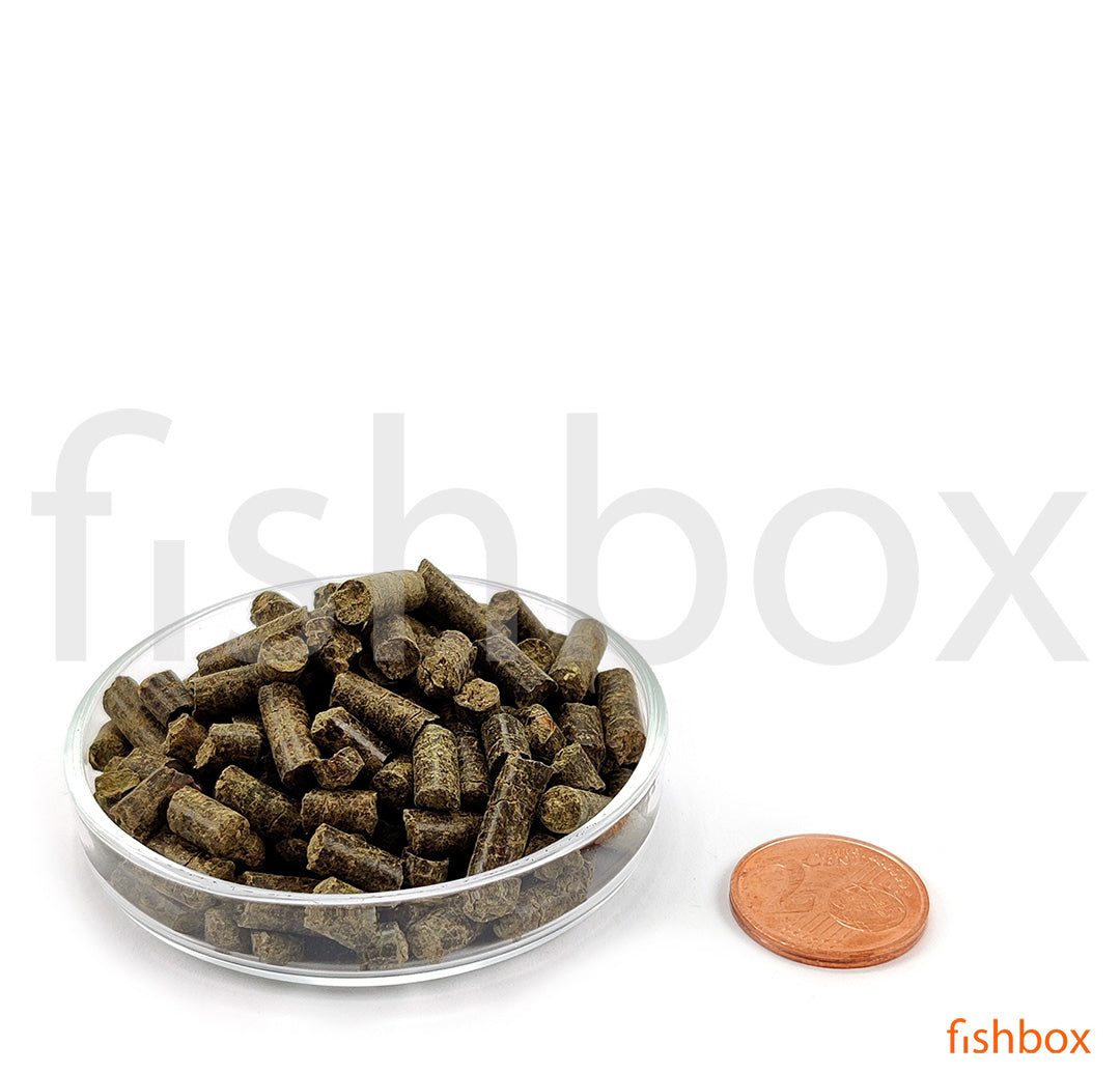  Shrimp King Protein - fishbox