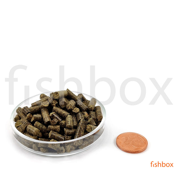  Shrimp King Protein - fishbox