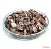 Natural gravel Plantahunter Rio Xingu MIX 2-22 mm - fishbox