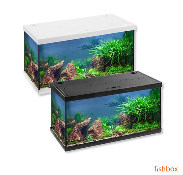 EHEIM Aquastar 54 LED - fishbox
