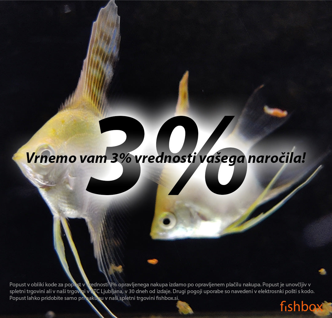 Vrnemo 3% vrednosti nakupa - fishbox