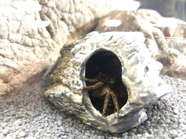 Nano Decor Rocky Cave - fishbox