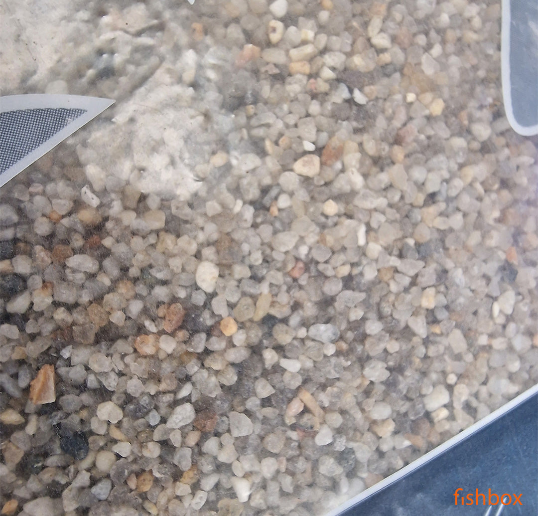 Neptun pesek za akvarij, 1-2 mm - fishbox