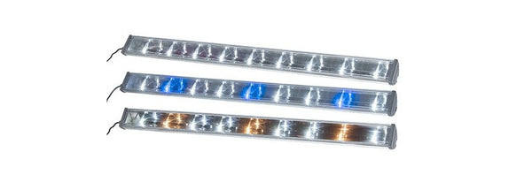 LED's - fishbox