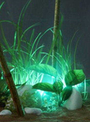 Podvodna LED svetilka - fishbox