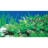 Foto tapeta, rastline, 1m - fishbox