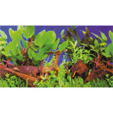 Foto tapeta, rastline, 1m - fishbox