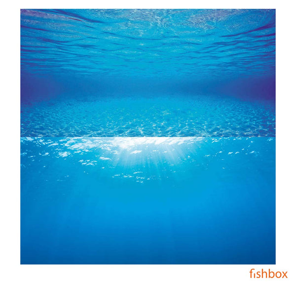 Juwel ozadje za akvarij - Poster 2 - fishbox
