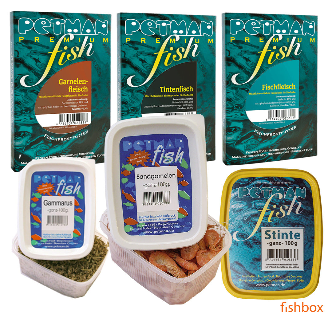 Hrana za večje ribe - fishbox